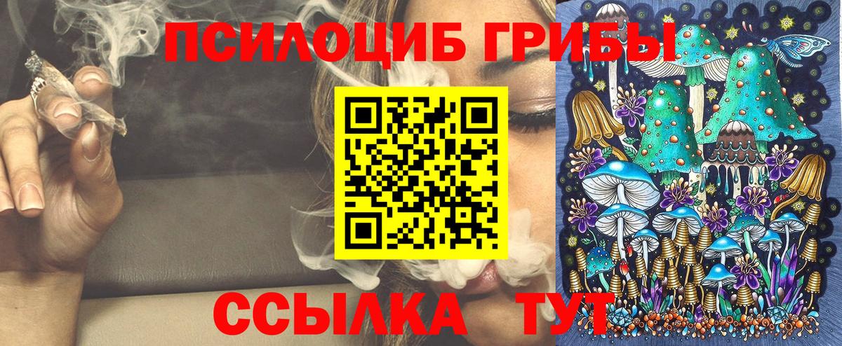 Дубна  Галлюциногенные грибы MAGIC MUSHROOMS  Вход с VPN  Галлюциногенные грибы Cubensis 