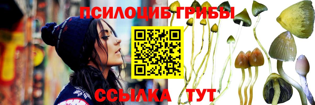 Псилоцибиновые грибы MAGIC MUSHROOMS Дубна